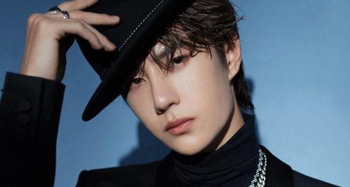 吃瓜娛樂(lè)圈張凌赫百度云,揭秘吃瓜群眾的云端追星之旅