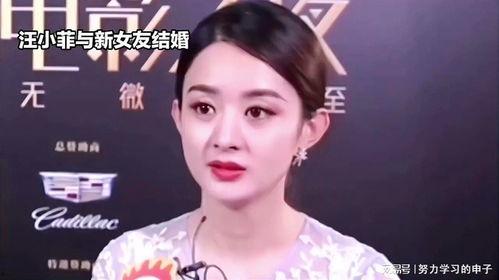 娛樂(lè)八卦吃瓜趙麗穎視頻在線觀看,揭秘幕后故事，帶你領(lǐng)略明星風(fēng)采