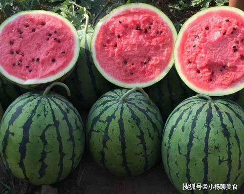 笑不活了娛樂吃瓜醬,笑不活了！娛樂吃瓜醬帶你揭秘娛樂圈那些鮮為人知的幕后故事