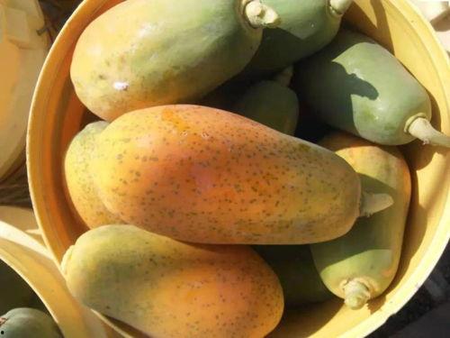 娛樂(lè)718sx吃瓜,揭秘娛樂(lè)圈最新吃瓜事件