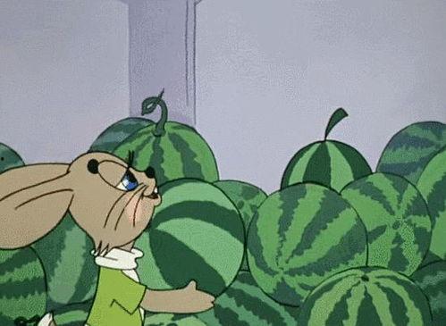 全球吃瓜娛樂,瓜田李下，娛樂盛宴