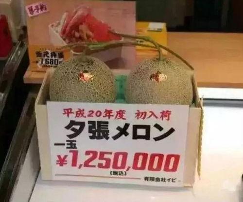 吃瓜群眾休閑娛樂館,一站式娛樂新體驗(yàn)