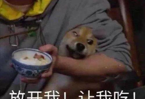 娛樂(lè)圈吃瓜科普,那些你不知道的幕后故事與真相