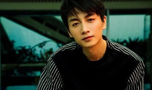 娛樂(lè)圈吃瓜情報(bào)局陳曉,娛樂(lè)圈吃瓜情報(bào)局揭秘，明星背后的故事