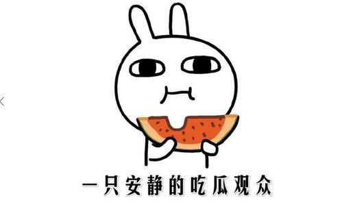 娛樂(lè)吃瓜醬相處方式,輕松相處的快樂(lè)秘籍