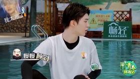 娛樂圈吃瓜楊迪,娛樂圈吃瓜達(dá)人，揭秘幕后故事