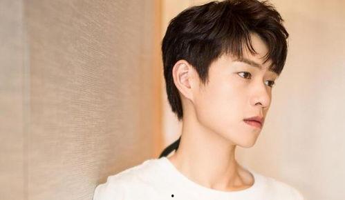 吃瓜娛樂(lè)圈任豪,娛樂(lè)圈的瓜田新秀，星光璀璨的蛻變之路