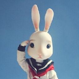 娛樂(lè)吃瓜直播間兔子,揭秘娛樂(lè)圈幕后吃瓜大揭秘