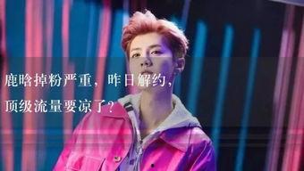 娛樂吃瓜小故事視頻播放,熱門視頻背后的故事