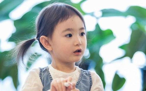 娛樂吃瓜君大鼻子弟弟,揭秘大鼻子弟弟背后的故事