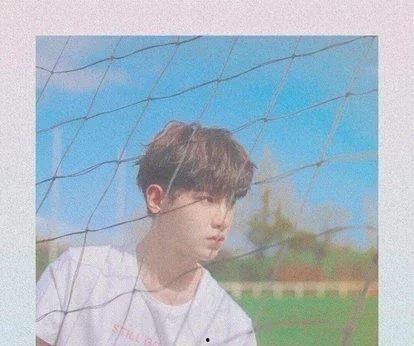 娛樂吃瓜君迪麗熱巴,娛樂圈的瓜王，揭秘明星背后的故事