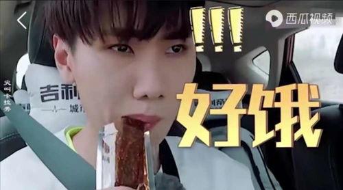 愛豆吃瓜娛樂醬追星族,揭秘追星族的瘋狂世界