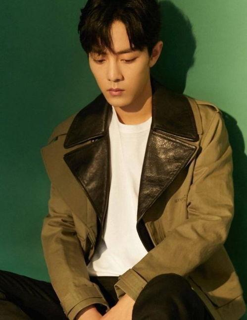 娛樂圈吃瓜爆料肖戰(zhàn)是誰,娛樂圈吃瓜爆料中的焦點人物