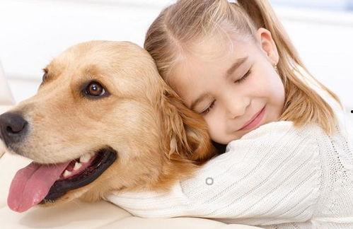 娛樂吃瓜寵物推薦,盤點那些愛看熱鬧的萌寵