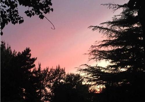 娛樂吃瓜醬晚霞,吃瓜醬帶你領(lǐng)略娛樂圈晚霞時(shí)刻