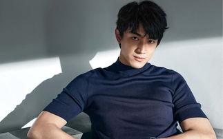 娛樂(lè)圈吃瓜爆料林更新,娛樂(lè)圈爆料背后的真相與爭(zhēng)議