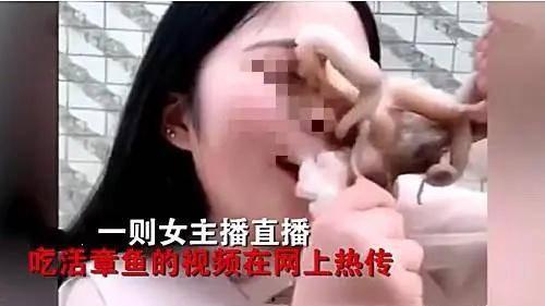 娛樂(lè)吃瓜醬的作品真誠(chéng)才是必殺計(jì),娛樂(lè)吃瓜醬的“必殺計(jì)”揭秘