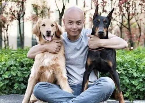 娛樂圈吃瓜小狗小說免費閱讀,吃瓜小狗的甜蜜復仇之旅