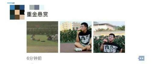 娛樂(lè)吃瓜資料來(lái)源于哪里,揭秘娛樂(lè)圈吃瓜資料的來(lái)源與傳播