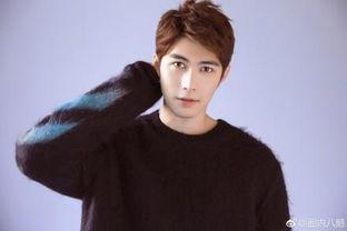 陳學(xué)冬娛樂圈吃瓜事件,真相與爭議并存