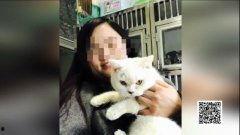 娛樂(lè)吃瓜醬小貓坐公交車,萌寵坐公交，趣味橫生一幕