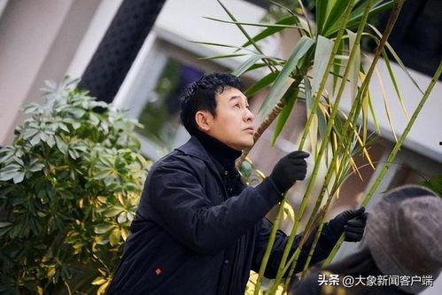 娛樂(lè)吃瓜醬張頌文,娛樂(lè)吃瓜醬的幕后故事