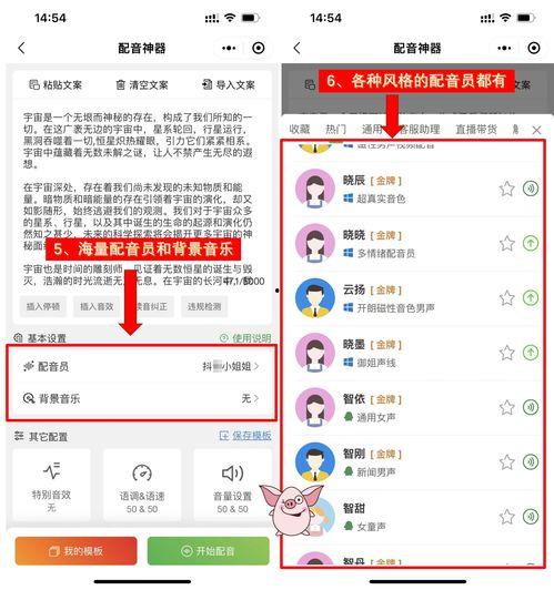 娛樂吃瓜音效軟件哪個好,哪個是你的最佳選擇？