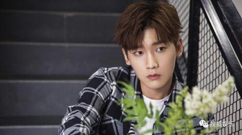 愛豆吃瓜娛樂醬肖宇梁,愛豆吃瓜娛樂醬，揭秘娛樂圈幕后故事