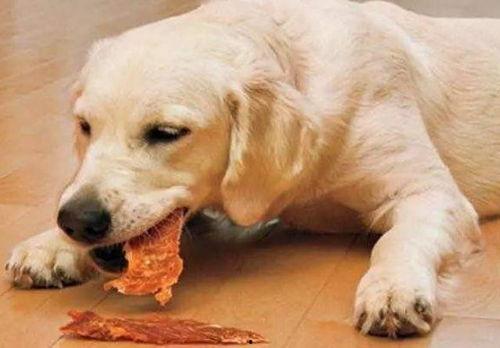 娛樂(lè)吃瓜醬埋狗,揭秘娛樂(lè)圈背后的“埋狗”真相