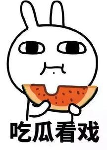 娛樂吃瓜醬做什么會加分,解鎖加分技能，輕松成為圈粉達人