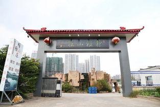 娛樂吃瓜醬臨沂大學,娛樂吃瓜醬背后的故事