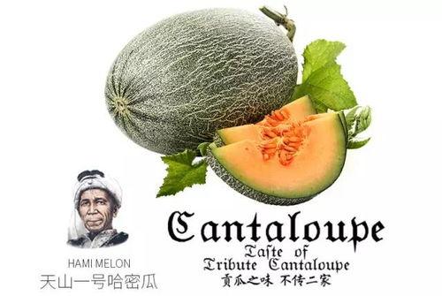 娛樂吃瓜配樂推薦一下,盤點熱門配樂推薦