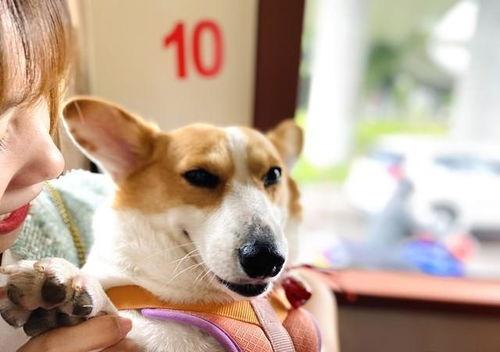 熱門八卦娛樂吃瓜搞笑,笑料百出，八卦連連，揭秘明星幕后趣事