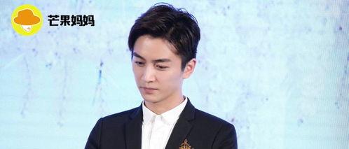 娛樂圈吃瓜情報(bào)局陳曉,娛樂圈吃瓜情報(bào)局揭秘，明星背后的故事